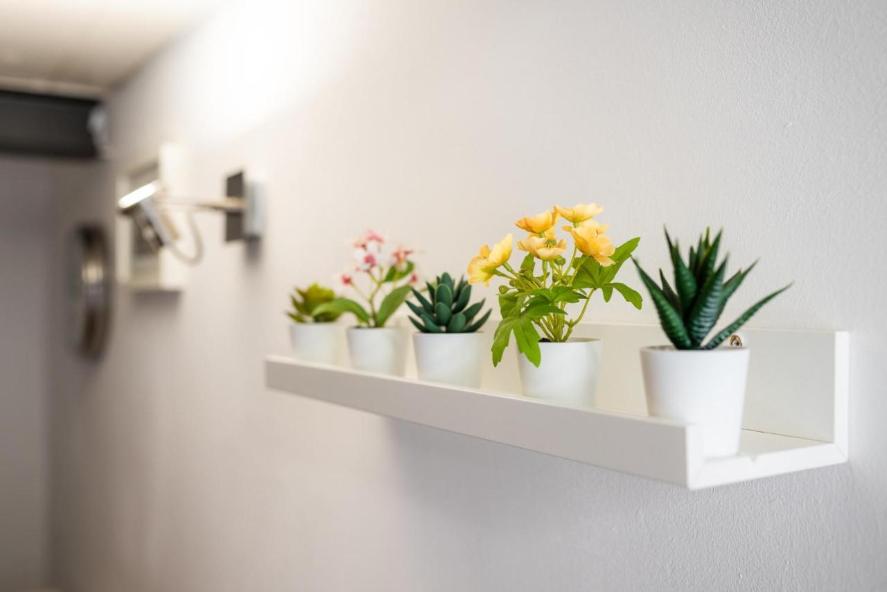 Stagabin Little Loft Near Porta Susa Station And Subway تورينو المظهر الخارجي الصورة